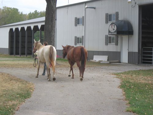 Property photo 2 - 80 Acres Offered in 4 Tracts - Horse Farm